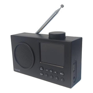 Factory Black Portable DAB FM Digital Radio with Color LCD Display Radio Preset Stations 2001-3000mAh Rechargeable Outdoor - Product Image 6