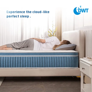 Khách Sạn Sang Trọng Ngủ Giường Đôi Chỉnh Hình Lai Nệm Vua Nữ Hoàng Kích Thước Túi Mùa Xuân Nệm - Product Image 3