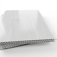 Panneau de plafond en PVC Silver Line, panneau décoratif en plastique avec rayures