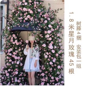 Decorazione di fiori in erba forgiata su misura di fascia alta con <span class=keywords><strong>vite</strong></span> e fiori artificiali - Product Image 5