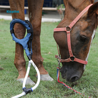 Équipements de physiothérapie Kaphatech, PEMF portable pour chevaux, boucle PMST pour vétérinaire équin