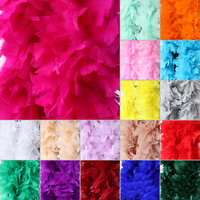 Vente en gros de plumes de dinde teintées 200g Boa - 2m Bande décorative colorée Fêtes de mariages Costumes de carnaval