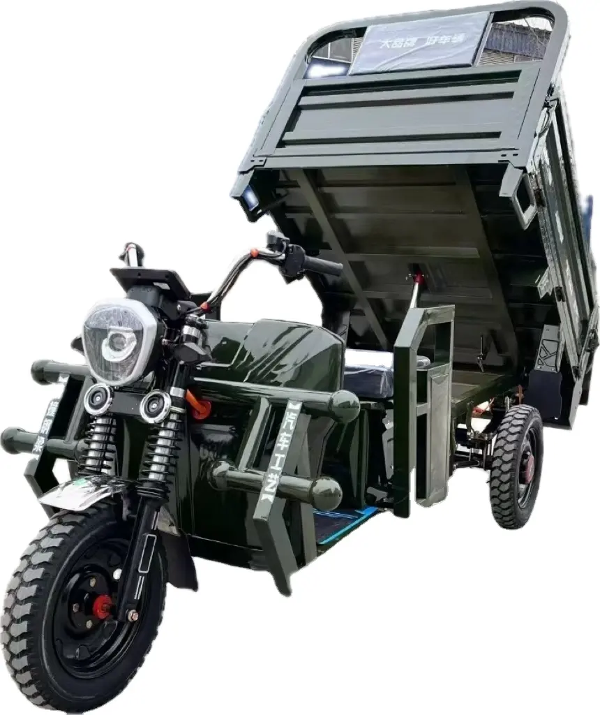 Nuovo accordo caldo 1000W tricicli elettrici auto-scarico Cargo 3 ruote moto auto elettrica per adulti in vendita