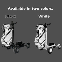 Eswing 2025 48V 20Ah 2400W Chariot de golf électrique avec siège pour adultes