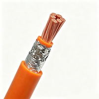 EV-Ladekabel für Neue Energien Hochtemperatur-XLPE-Isoliertes Stromkupferkabel Hochspannungs-Automobilkabel Abgeschirmt Orange