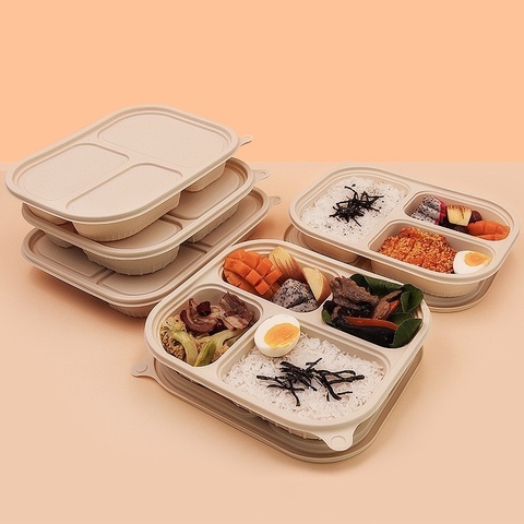Biodegradable disposable food containers tray with compartments Biodegradable disposable food containers tray with compartments