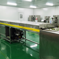 Machine à tempérer le chocolat au beurre de cacao pur + Machine d'enrobage + Tunnel de refroidissement pour fraises et myrtilles surgelées IQF