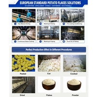 Ligne de production automatique de flocons et de poudre de pommes de terre de 1000 kg, machine de transformation de la farine de pommes de terre