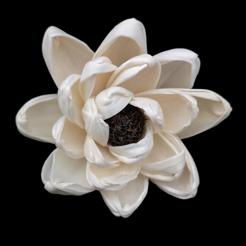Lotus 8 cm avec pistil-s037b08n