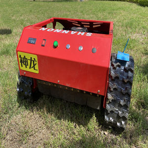 Kostenloser Versand 100% Ferngesteuerter Spindelmäher Rasenmäher Garten-Raupenmäher Grasschneider Benzin-Rasenmäher - Product Image 6