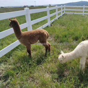 库存白色乙烯基马场围栏<span class=keywords><strong>3</strong></span>轨4轨马聚氯乙烯围栏 - Product Image 3