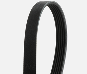 Correa de Transmisión ESAEVER POLY-V-BELT 252122B000 BR3Z8620E BR3V8620AA 19193070 K060842 25060842 para FORDS - Product Image 3