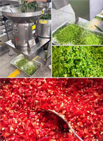 Voedings-En Drankmachines/Fruit-En Groentenverwerkingsmachines