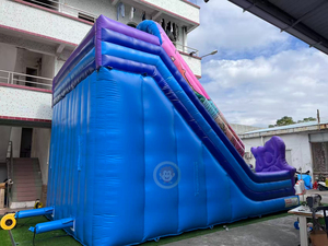 Scivolo Gonfiabile per Giochi all'Aperto, Castello Gonfiabile per Bambini e Adulti, Scivolo Gigante per Feste - Product Image 6
