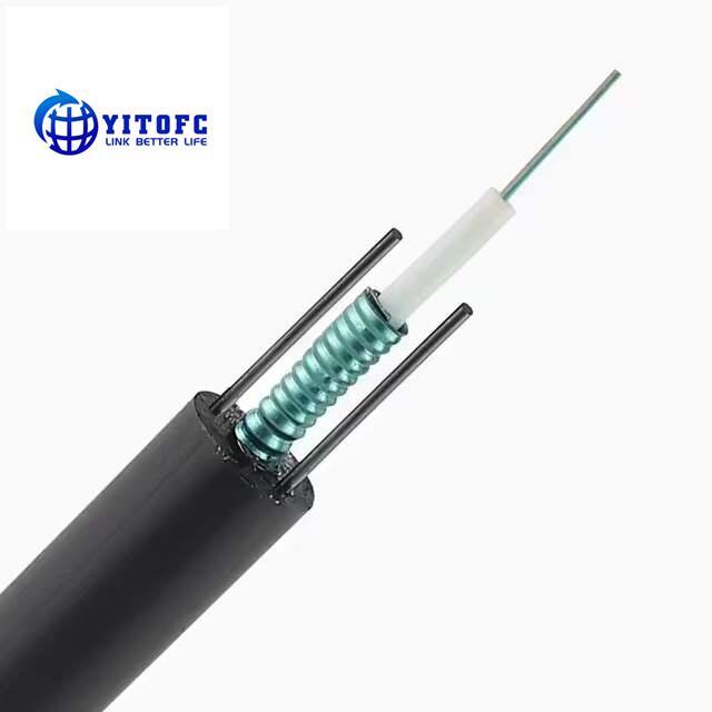 High Quality GYXTW Fiber Optic Cable Outdoor Central Loose Tube Amoured Black G652D 4 6 8 12 16 24 Fo Core Internet Supplier