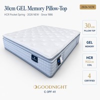 Premium Hybrid-Matratze in einer Box Memory-Schaum Federkern OEKO-TEX Rollpack Maßgefertigte Größe OEM ODM Villa-Lieferant