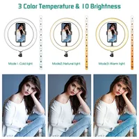 Lampu LED Ring 10 inci dengan Pengaturan Kecerahan, Pengisian Daya USB, Suhu Warna 3300-5600K, dan Penyangga Ponsel untuk Selfie