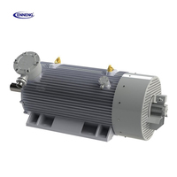 Moteur électrique synchrone à aimant permanent haute efficacité 0,5 kW-5 MW, triphasé, à contrôle vectoriel de fréquence variable, IP55