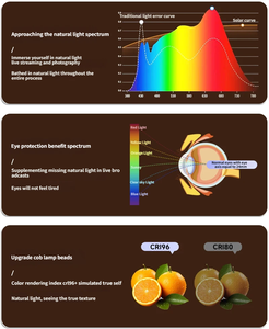 Lampe de remplissage professionnelle RVB pour diffusion en direct avec télécommande, 100W, température de couleur réglable 3200-6500K, éclairage solaire pour le streaming en direct - Product Image 2
