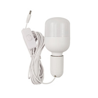 Ampoule LED DC 12V 24V, lampe de marquage nocturne pour camping, faible consommation, en plastique, grande forme en T, ampoules économiques avec types de culots B22/E40
