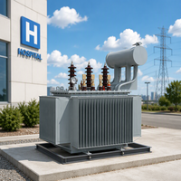 Transformateur de distribution immergé dans l'huile triphasé 400 kVA S20 à trois enroulements 50 Hz 60 Hz pour usage agricole
