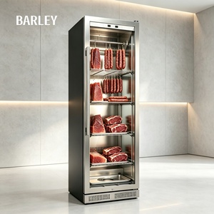 Compressor Stainless Steel Frost-Free Chiller Age Freezer Dried Home Beef UV Machine Dry Age Meat Household Hotel Single-Zone De - Product Image 2