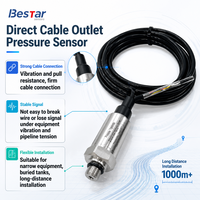 Transmisor de Presión Hidráulica 4-20ma /RS485, Conector M12 316L, Transductor de Presión con Cable Directo, IP68 para Agua Potable