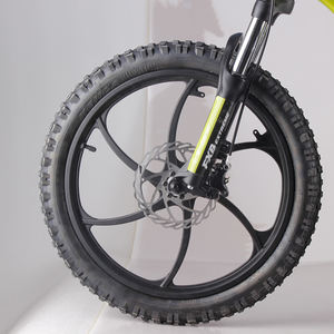 FXB Style 20eDrive Brushless Hub Moteur <span class=keywords><strong>Moto</strong></span> Électrique 36V Balance Bike - Product Image 2