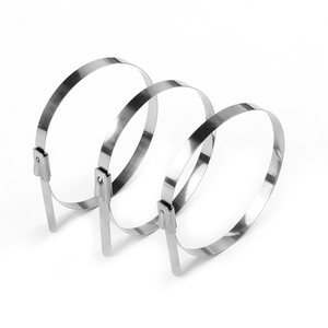 Brida de <span class=keywords><strong>cable</strong></span> de acero inoxidable con revestimiento epoxi autoblocante 4.6X150mm Brida de <span class=keywords><strong>cable</strong></span> - Product Image 2