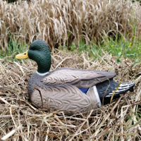 Leurre de chasse flottant pliable en caoutchouc souple EVA, personnalisé en usine, en forme de canard fausse simulation (type Green Wing Teal), pour la simulation de paysage de jardin