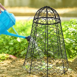 Cloche de jardin en métal pour protéger les plantes, les légumes et les poulets, contre les nuisibles et les oiseaux - Product Image 4