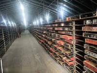 Aliments pour tortues, oiseaux et poissons à haute teneur en protéines, vers de farine séchés, friandises énergétiques pour suiveurs de sucre, biodégradables, export en vrac