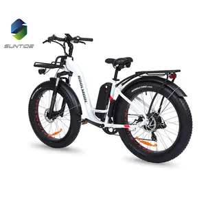 Fabrikant Prijs E Bikes Low Rider Volwassen Fiets Elektrische Fiets Batterij Addmotor Elektrische Fiets