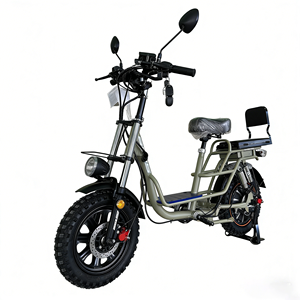 Bicicletta Elettrica Modello Russo da 16 Pollici Senza Batteria, Antiscivolo, per Adulti, Ideale per Consegne a Domicilio - Product Image 6