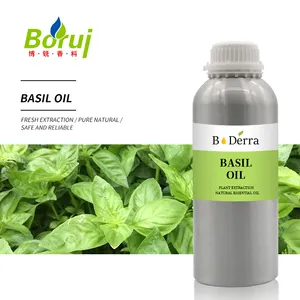 Factory Price Basil Oil available Basil oil with cheap price from China for sales and exports