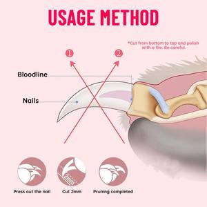 OEM ODM 전문가용 고양이 강아지 반려동물 발톱 관리 트리머 클리퍼, 맞춤형 로고, 스테인리스 스틸, 무료 손톱 파일 포함, 욕실용 플라스틱 - Product Image 3