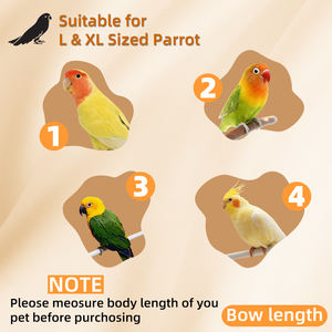 Cage à oiseaux classique de luxe, portable, antirouille et respirante, pour l'intérieur - Product Image 6