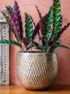 Pot de fleurs texturé en métal, best-seller, pour jardinage intérieur et extérieur, décoration de la maison, utilisation dans les hôtels et les cafés, disponible à la vente - Product Image 1