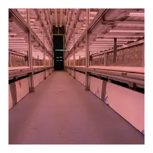 Hochwertige kommerzielle Hydroponik-Versand behälter Gewächshaus farmen, die Salat zum Verkauf anbauen