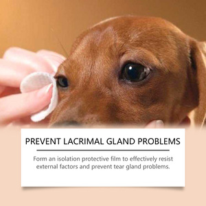 Crema Limpiadora de Manchas de Lágrimas para Mascotas 30g, Fórmula Suave para Perros y Gatos con Aloe Vera y Lavanda, para Todas las Estaciones - Product Image 5