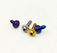 Прямые продажи с фабрики, титановые винты Oem, анодированные винты с головкой, M5 M6 M8 M10 Torx, титановые винты Gr5