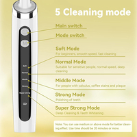 Polisseuse électrique portative de meulage de blanchiment des dents de 5 modes pour l'enlèvement de tartre de tache de plaque avec la tête de brosse remplaçable