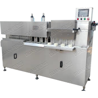 Hete Aanbieding Appel Schil- en Ontpitmachine Fruit & Groente Verwerker voor Voedselverwerkingslijn