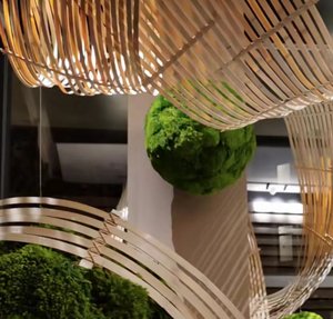 Installation artistique suspendue en bambou avec boules <span class=keywords><strong>de</strong></span> mousse éternelle, décoration végétale sphérique pour intérieur, idéale pour les centres commerciaux et l'aménagement paysager - Product Image 2