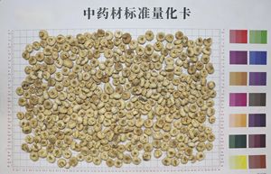 Bulbus Fritillariae Ussuriensis Fritillary Bulb <span class=keywords><strong>Ping</strong></span> Bei Mu Venta caliente Buen gusto - Product Image 4