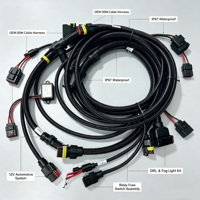 Kit de câblage complet BeiXing A00088 OEM ODM isolé 12V IP66 avec faisceau de câbles, relais, fusible et interrupteur pour feux de brouillard DRL