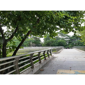 Garde-corps modernes et fiables en acier inoxydable pour une utilisation intérieure et extérieure Main courante de clôture de sécurité pour balcon <span class=keywords><strong>sans</strong></span> verre-pour parc de jardin - Product Image 6