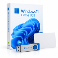 Windows 11 Home, support d'installation USB pour ordinateurs domestiques, version mondiale, livraison immédiate