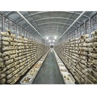 Centre de distribution d'entrepôt de supermarché, culture et plantation à grande échelle de champignons, installation de stockage frigorifique