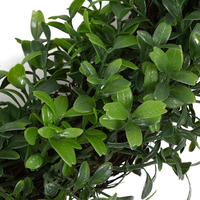 Guirlande de verdure artificielle en plastique, écologique, légère, durable, pour usage extérieur, guirlande suspendue, fleur décorative, décoration de remise de diplôme